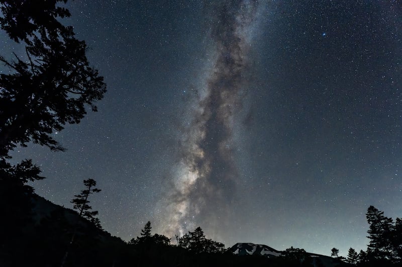 Outdoor Reception under the Stars